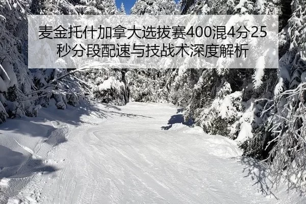 mai-jin-tuo-shen-jia-na-da-xuan-ba-sai-hun-fen-miao-fen-duan-pei-su-yu-ji-zhan-shu-shen-du-jie-xi-2-803.jpg