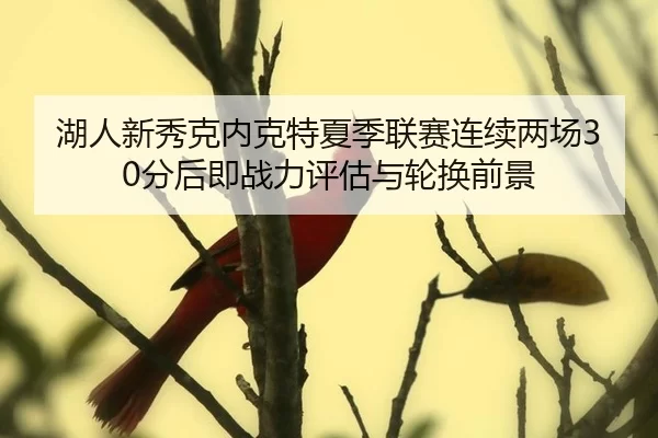 hu-ren-xin-xiu-ke-nei-ke-te-xia-ji-lian-sai-lian-xu-liang-chang-fen-hou-ji-zhan-li-ping-gu-yu-lun-huan-qian-jing-2-876.jpg